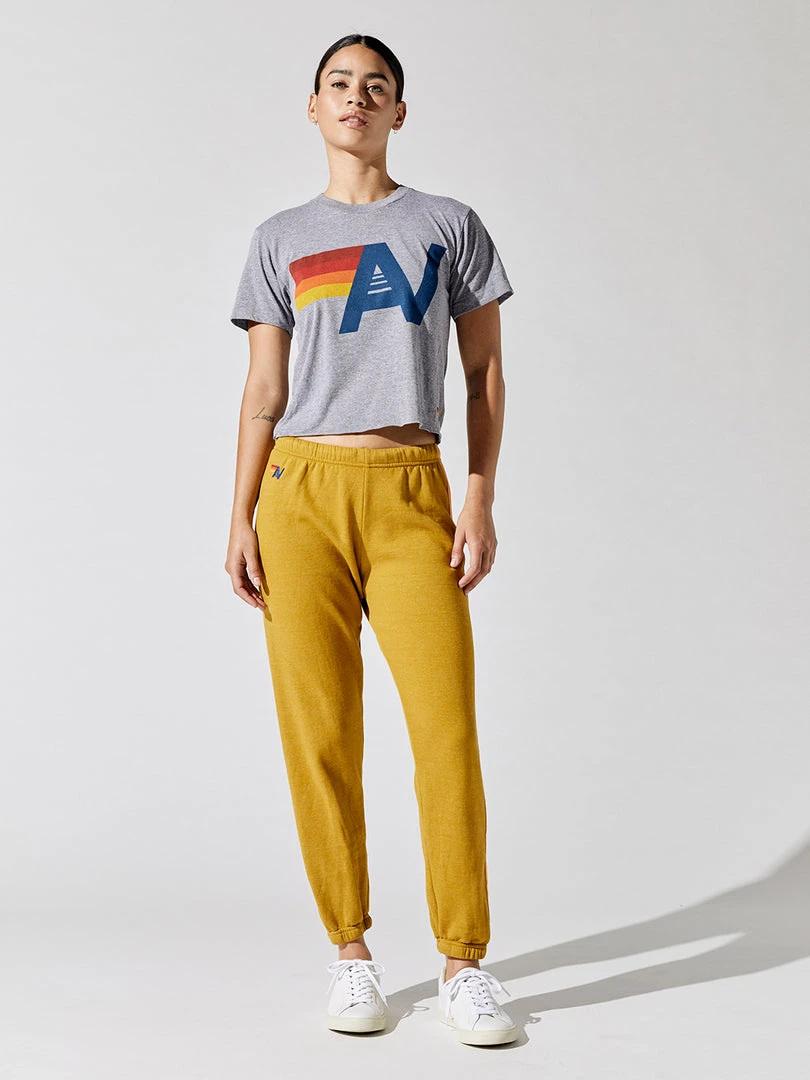 AVIATOR NATION Logo Boyfriend Tee Tops 2 AVIATOR NATION Logo Boyfriend Tee Tops